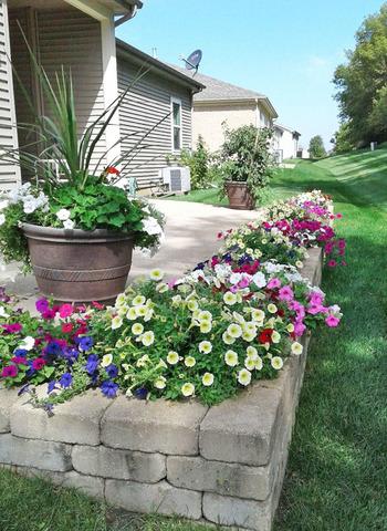915 Eineke Blvd, Algonquin, IL 60102 photo 22