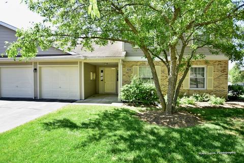 335 Buckingham Cir #D, Elgin, IL 60120 photo 1