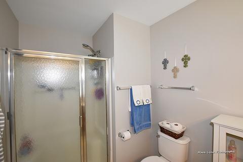 335 Buckingham Cir #D, Elgin, IL 60120 photo 16