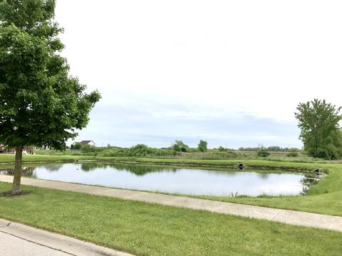 4674 W Iris Ln, Monee, IL 60449 photo 19
