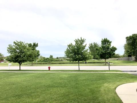 4674 W Iris Ln, Monee, IL 60449 photo 18