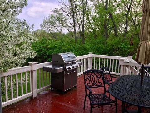 1444 Walnut Dr, West Dundee, IL 60118 photo 28