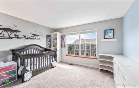 570 Declaration Ln, Aurora, IL 60502 photo 15