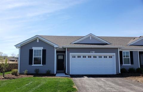 923 Darwin St, North Aurora, IL 60542 photo 2