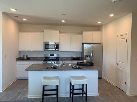 923 Darwin St, North Aurora, IL 60542 photo 6