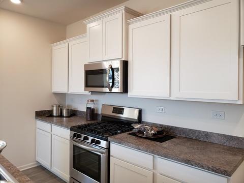 923 Darwin St, North Aurora, IL 60542 photo 9
