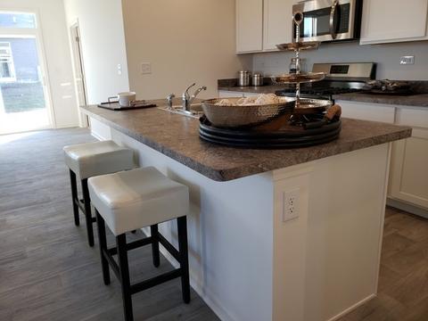 923 Darwin St, North Aurora, IL 60542 photo 10