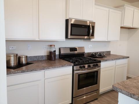 923 Darwin St, North Aurora, IL 60542 photo 11