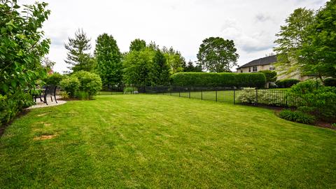 12723 Skyline Dr, Plainfield, IL 60585 photo 30