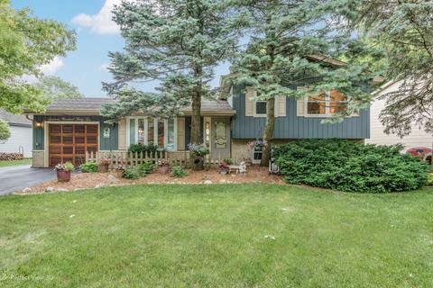 1632 Killdeer Dr, Naperville, IL 60565 photo 1