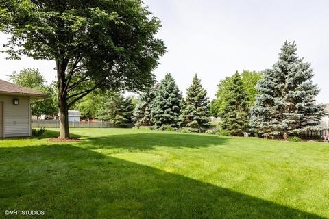 16050 S Dan Oconnell Dr, Plainfield, IL 60586 photo 20