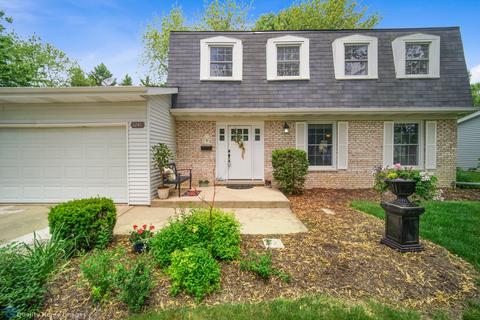 1241 Downing Ct, Wheaton, IL 60189 photo 2