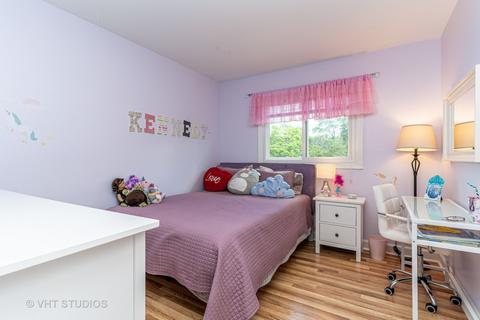 1195 Freeman Rd, Hoffman Estates, IL 60192 photo 10