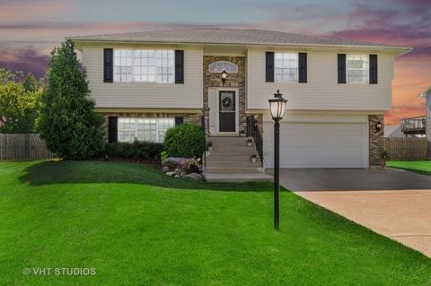 1009 Heritage Ct, Hebron, IL 60034 photo 3