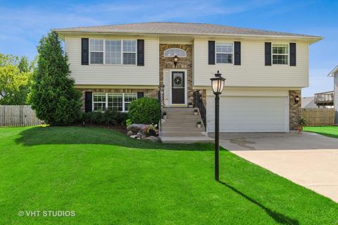 1009 Heritage Ct, Hebron, IL 60034 photo 2