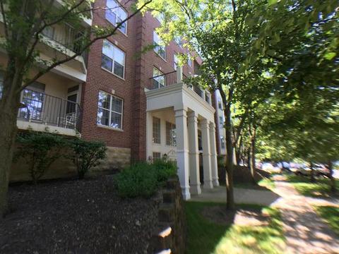 3125 Town Square Dr #307, Rolling Meadows, IL 60008 photo 1