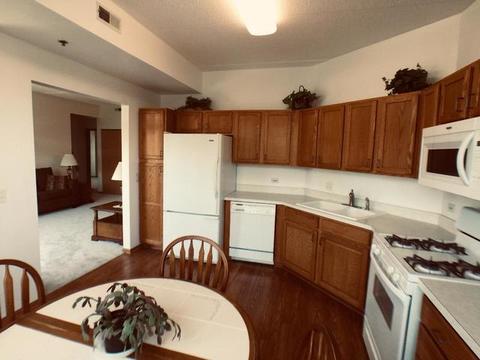 3125 Town Square Dr #307, Rolling Meadows, IL 60008 photo 3