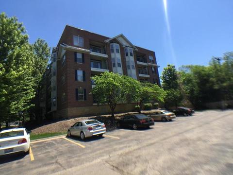 3125 Town Square Dr #307, Rolling Meadows, IL 60008 photo 19