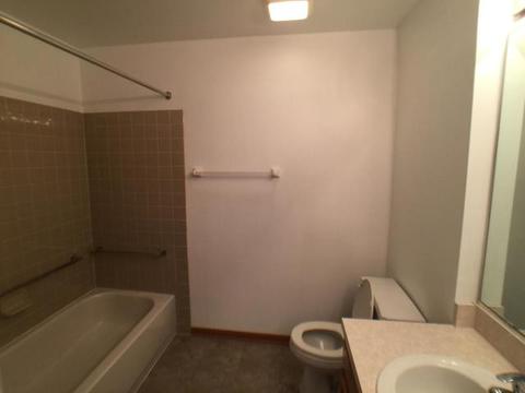 3125 Town Square Dr #307, Rolling Meadows, IL 60008 photo 13