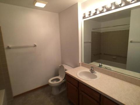 3125 Town Square Dr #307, Rolling Meadows, IL 60008 photo 12