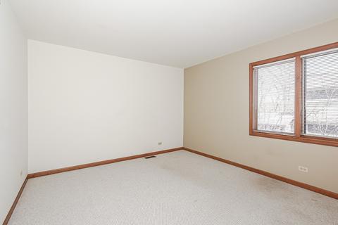 978 La Costa Ave, Bartlett, IL 60103 photo 33