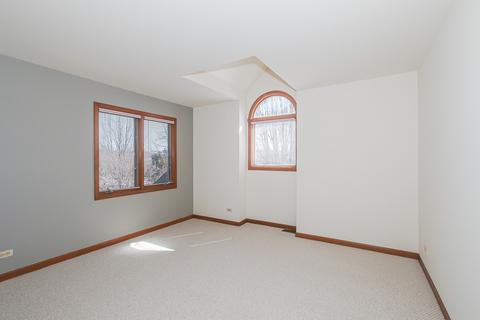 978 La Costa Ave, Bartlett, IL 60103 photo 28