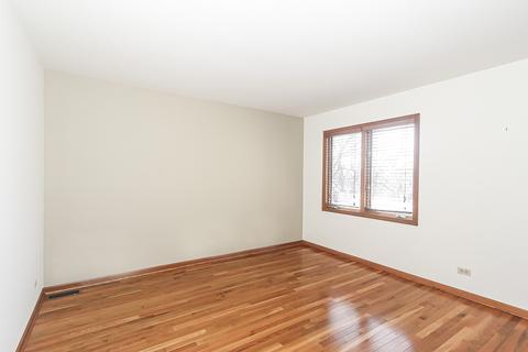 978 La Costa Ave, Bartlett, IL 60103 photo 31