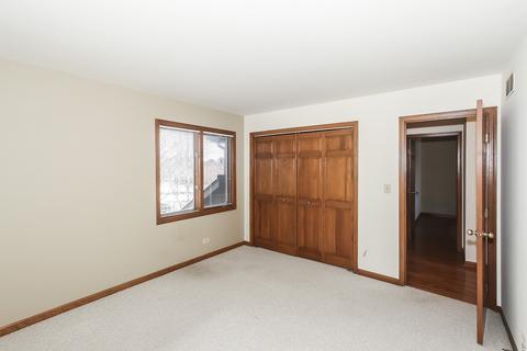 978 La Costa Ave, Bartlett, IL 60103 photo 34