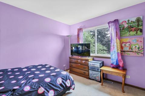 71 E Rustic Ln, Round Lake Beach, IL 60073 photo 19