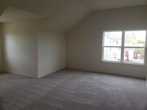 265 Hearthstone Dr, Bartlett, IL 60103 photo 17