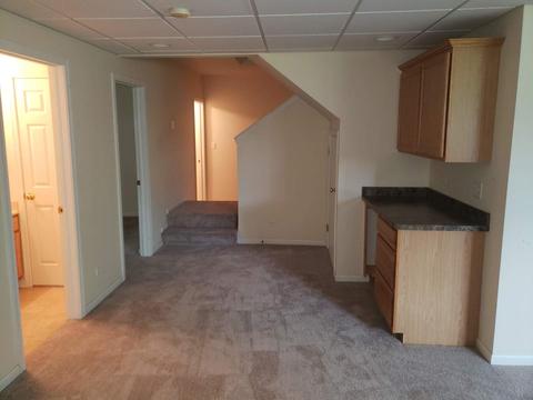 265 Hearthstone Dr, Bartlett, IL 60103 photo 24