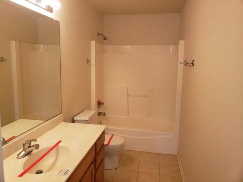 265 Hearthstone Dr, Bartlett, IL 60103 photo 14