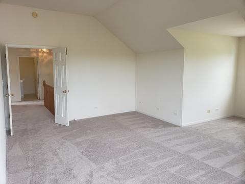 265 Hearthstone Dr, Bartlett, IL 60103 photo 19