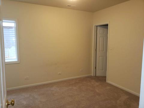 265 Hearthstone Dr, Bartlett, IL 60103 photo 25