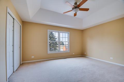 27005 Ashgate Xing, Plainfield, IL 60585 photo 27