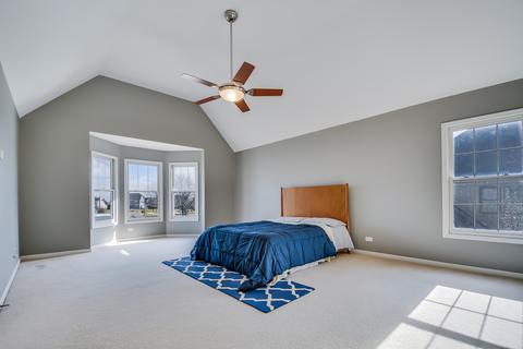 27005 Ashgate Xing, Plainfield, IL 60585 photo 22