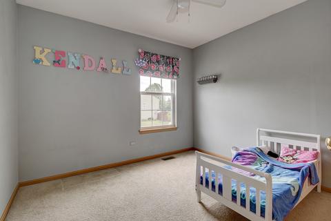 7008 Desert Dr, Plainfield, IL 60586 photo 15