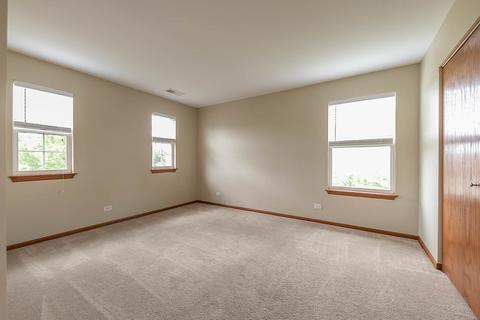 16305 Spring Creek Ln, Plainfield, IL 60586 photo 28