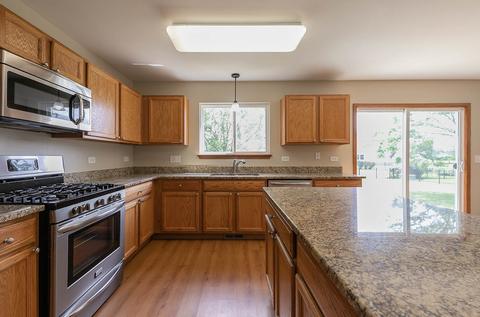 16305 Spring Creek Ln, Plainfield, IL 60586 photo 17