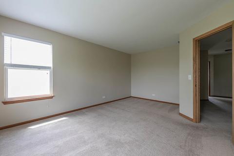 16305 Spring Creek Ln, Plainfield, IL 60586 photo 25