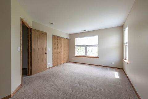 16305 Spring Creek Ln, Plainfield, IL 60586 photo 26