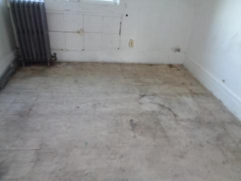 516 E 115th St, Chicago, IL 60628 photo 10