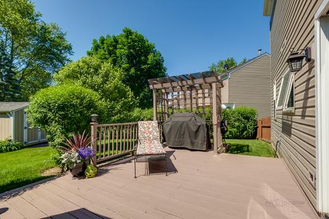 1115 Greenridge Ave, Algonquin, IL 60102 photo 25