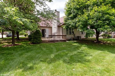 13461 Redberry Cir, Plainfield, IL 60544 photo 22