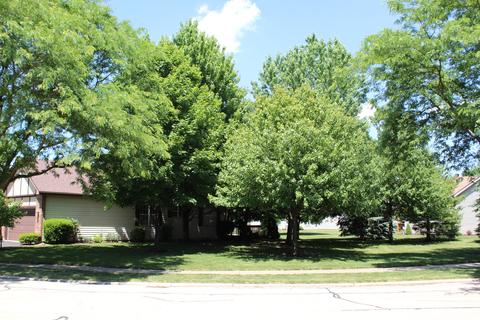 13461 Redberry Cir, Plainfield, IL 60544 photo 24
