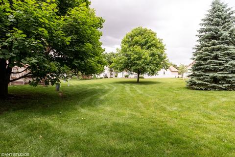 13461 Redberry Cir, Plainfield, IL 60544 photo 23