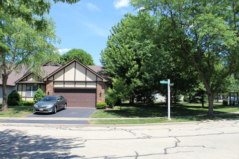 13461 Redberry Cir, Plainfield, IL 60544 photo 2