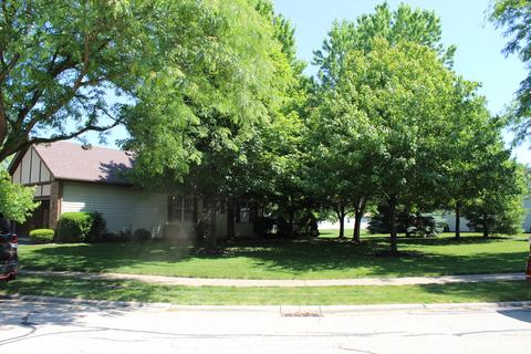 13461 Redberry Cir, Plainfield, IL 60544 photo 4