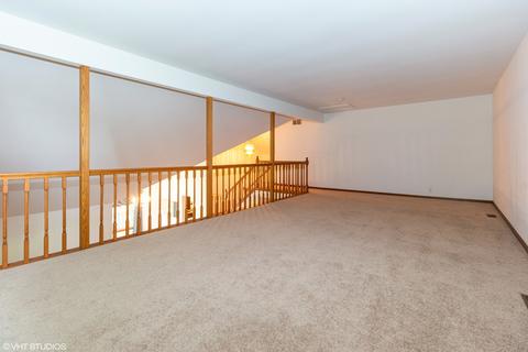 13461 Redberry Cir, Plainfield, IL 60544 photo 15