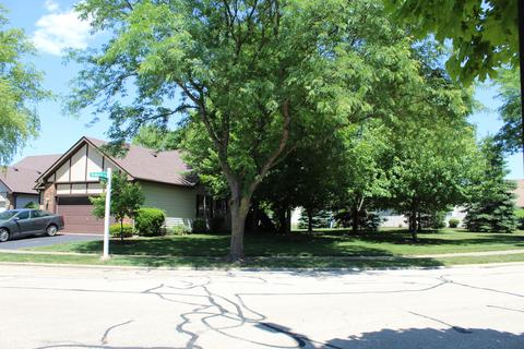 13461 Redberry Cir, Plainfield, IL 60544 photo 3